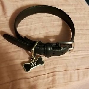 COPY - Coach dog collar